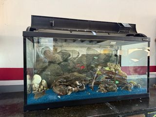 Acuario 200L con accesorios
