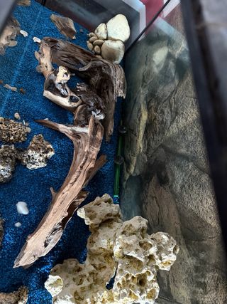 Acuario 200L con accesorios