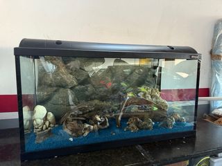 Acuario 200L con accesorios
