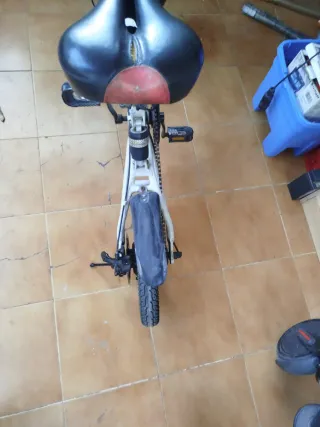 Bicicleta Eléctrica Plegable Ess Watt