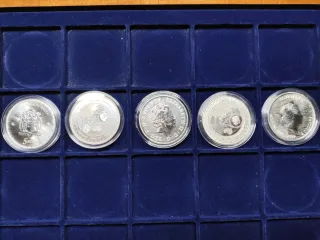 Pack 5 Monedas Plata 1oz 999