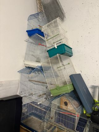 Jaulas para aves precio depende jaula