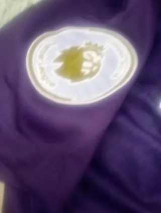 Maglietta Manchester City Etihad Airways