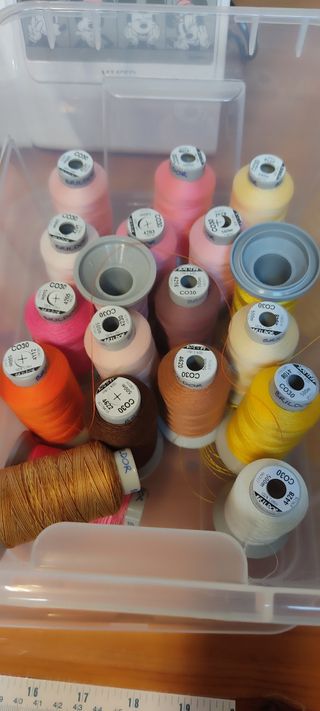 Bordadora Brother Disney M340ED