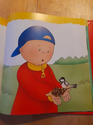2 libros Caillou por 5€