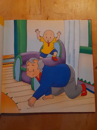 2 libros Caillou por 5€