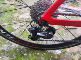 Bicicleta Trek Madone Carbono