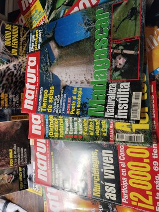 Revista Natura. Lote