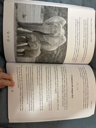 Hechos asombrosos que te dejarán sin habla: Una...