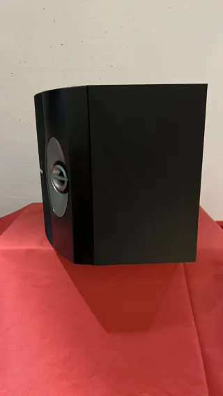 Altavoces Bose 301 Serie V (Pareja)