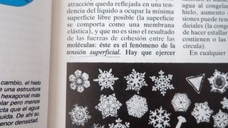 El agua, cultura y vida