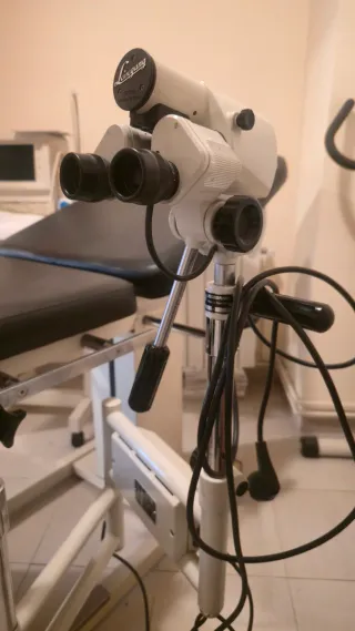 Camilla ginecológica