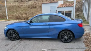 BMW BMW Serie 2 Coupe 220d — Muy cuidado y único