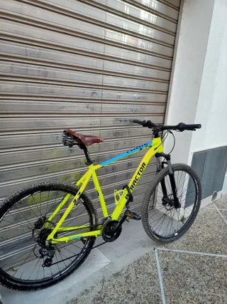 Bicicleta Montaña Talla L