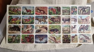 3 Láminas Hemma Animales Salvajes Vintage