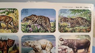 3 Láminas Hemma Animales Salvajes Vintage