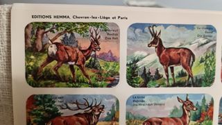 3 Láminas Hemma Animales Salvajes Vintage