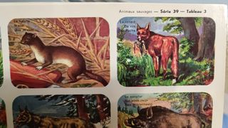 3 Láminas Hemma Animales Salvajes Vintage