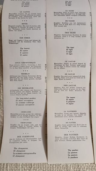 3 Láminas Hemma Animales Salvajes Vintage