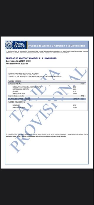 Profesor Particular inglés