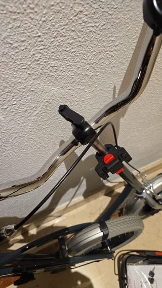 Andador o bicicleta de equilibrio Van Raam