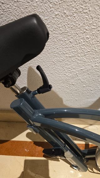 Andador o bicicleta de equilibrio Van Raam