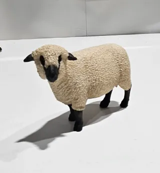 Oveja Shropshire Schleich