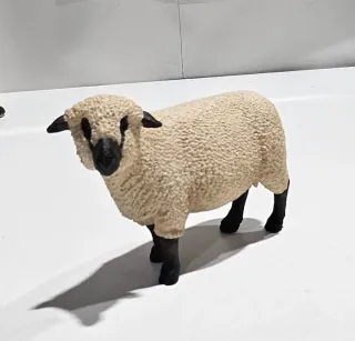 Oveja Shropshire Schleich