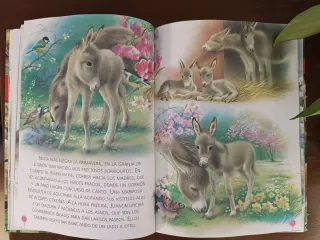 Historias de animales