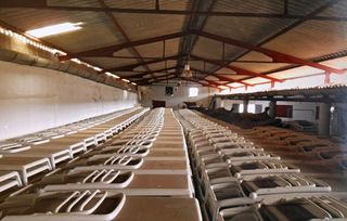 Hamacas / Tumbonas en perfecto estado