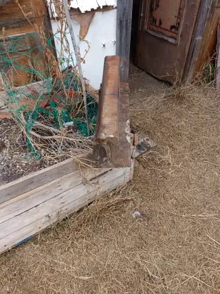 Vía de tren antigua