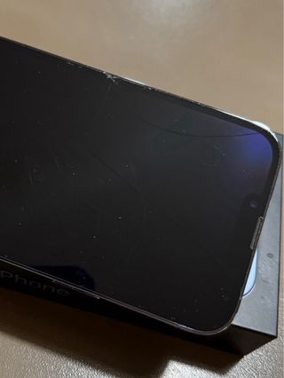 iPhone 13 Pro Max 512GB Azzurro Sierra