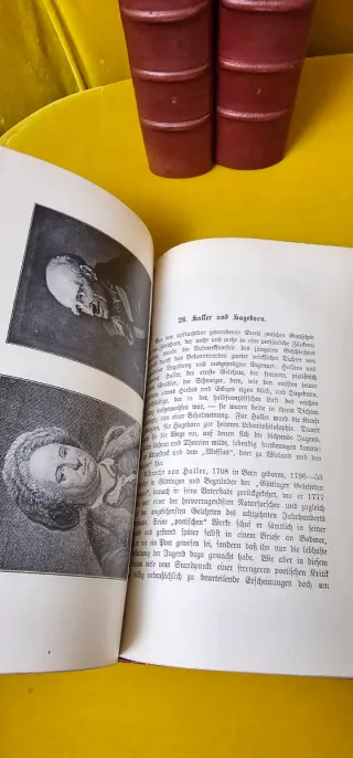 Libros Antiguos Historia de la literatura alemana