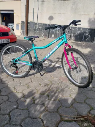 Bicicleta B-Pro niña/o