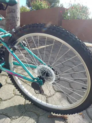 Bicicleta B-Pro niña/o