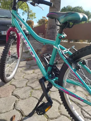 Bicicleta B-Pro niña/o