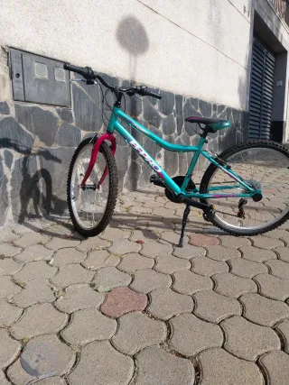 Bicicleta B-Pro niña/o