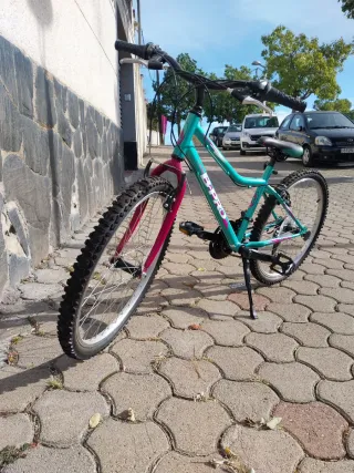 Bicicleta B-Pro niña/o