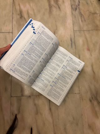 Diccionario de Primaria (Spanish and English Ed...