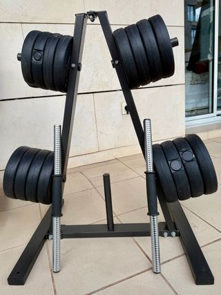 Soporte discos + mancuernas + 29 kg pesas