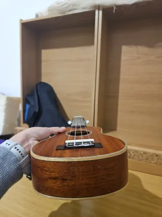 Ukelele Andoer