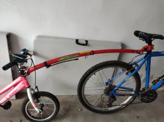Trail-Gator para bici infantil