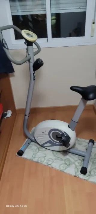 Bicicleta Estática Gris y Blanca