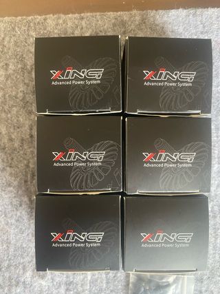 6 Motores XING E PRO 2306 - 2450kv