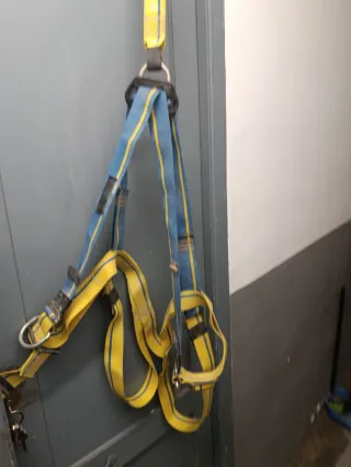 Arnés de seguridad azul y amarillo