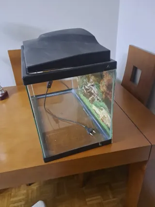 Pecera grande negra y transparente