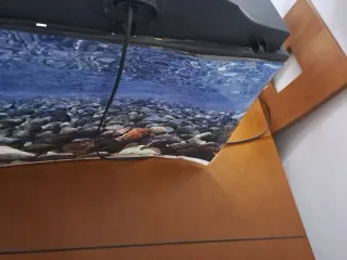 Pecera grande negra y transparente