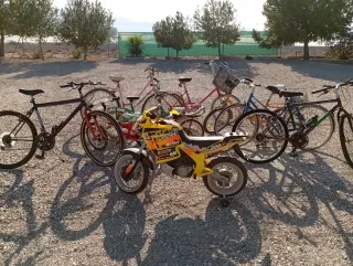 Bicicleta de Montaña Omas