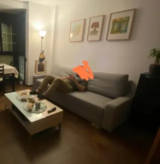 Divano letto 3 posti Ikea Grälviken grigio