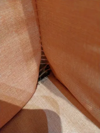 Cuna de juguete rosa.